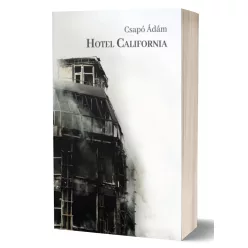 Csapó Ádám - Hotel California