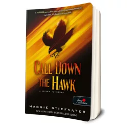   Maggie Stiefvater - Call ​Down the Hawk - A sólyom nyomában (Álmodók-trilógia 1.)