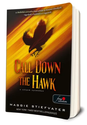 Maggie Stiefvater - Call ​Down the Hawk - A sólyom nyomában (Álmodók-trilógia 1.)