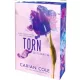 Carian Cole - Torn ​– Szétszakítva (All Torn Up 1.)