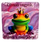 Békás hűtőmágnes