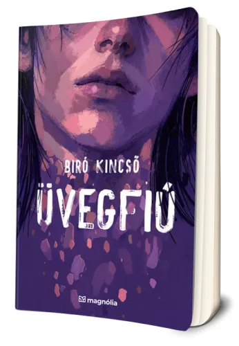 Biró Kincső - Üvegfiú