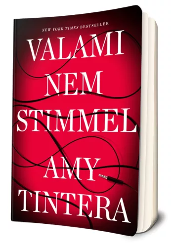 Amy Tintera - Valami ​nem stimmel