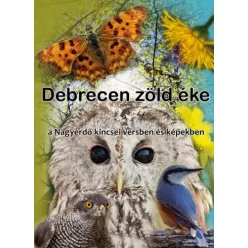   Majzik Ilona - Debrecen zöld éke (The Great Forest) (e-könyv)