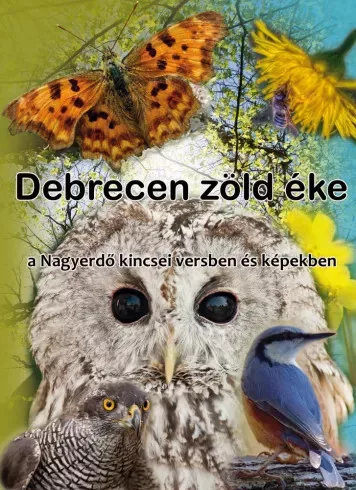 Majzik Ilona - Debrecen zöld éke (The Great Forest) (e-könyv)