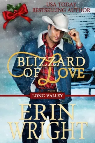 Erin Wright - Blizzard of Love (e-könyv)