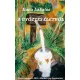 Lakatos Ilona - A győztes életről (e-könyv)