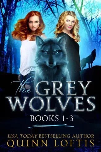 Quinn Loftis - The Grey Wolves Series Collection Books 1-3 (e-könyv)