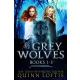 Quinn Loftis - The Grey Wolves Series Collection Books 1-3 (e-könyv)