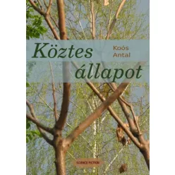 Koós  Antal - Köztes állapot (e-könyv)