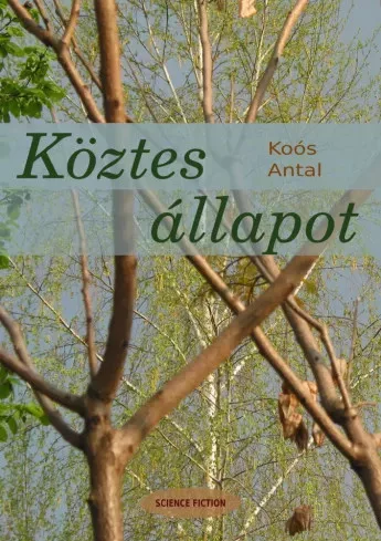 Koós  Antal - Köztes állapot (e-könyv)