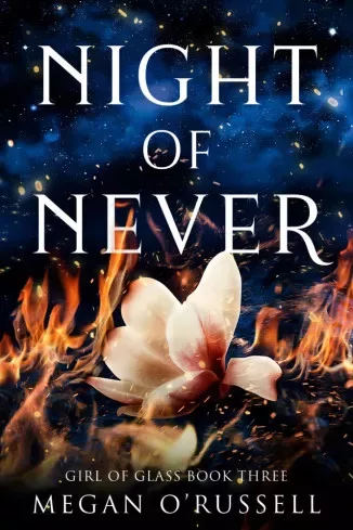 Megan O'Russell - Night of Never (e-könyv)