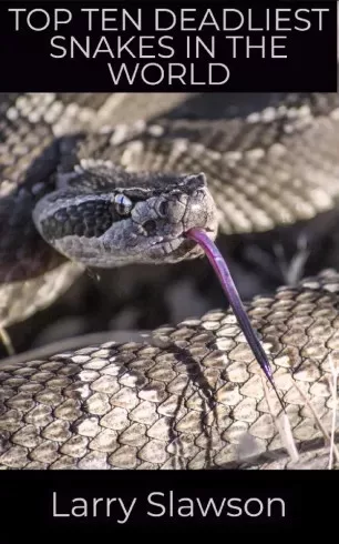 Larry Slawson - Top Ten Deadliest Snakes in the World (e-könyv)
