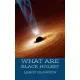 Larry Slawson - What are Black Holes? (e-könyv)