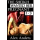 Alex Anders - The Sheikh Wanted Her Pregnant 1-3 (e-könyv)