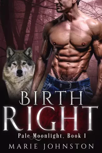 Marie Johnston - Birthright (e-könyv)