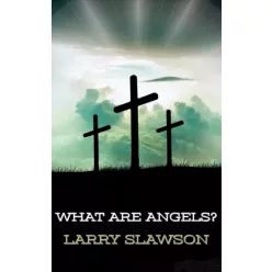 Larry Slawson - What Are Angels? (e-könyv)