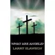 Larry Slawson - What Are Angels? (e-könyv)