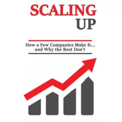 Rasheed Alnajjar - Scaling up (e-könyv)
