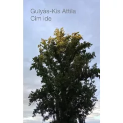 Gulyás-Kis Attila - Cím ide (e-könyv)