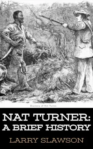 Larry Slawson - Nat Turner (e-könyv)