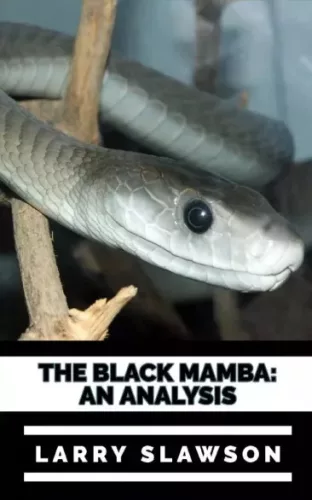 Larry Slawson - The Black Mamba (e-könyv)