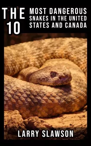 Larry Slawson - The 10 Most Dangerous Snakes in the United States and Canada (e-könyv)