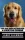 Larry Slawson - The Golden Retriever (e-könyv)