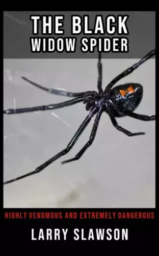 Larry Slawson - The Black Widow Spider (e-könyv)