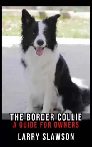 Larry Slawson - The Border Collie (e-könyv)