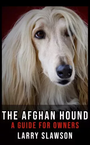 Larry Slawson - The Afghan Hound (e-könyv)
