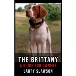 Larry Slawson - The Brittany (e-könyv)