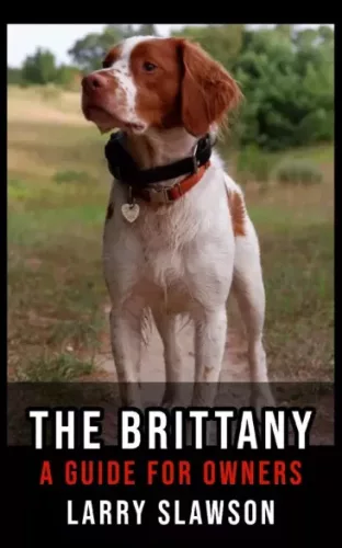 Larry Slawson - The Brittany (e-könyv)