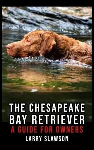 Larry Slawson - The Chesapeake Bay Retriever (e-könyv)