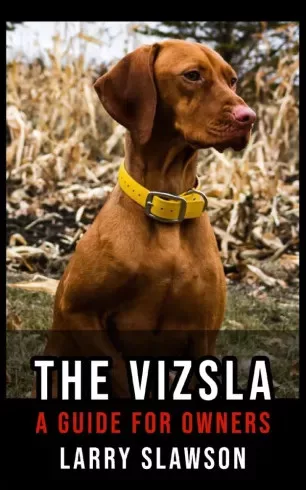 Larry Slawson - The Vizsla (e-könyv)