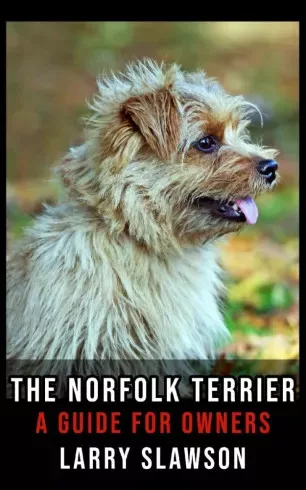 Larry Slawson - The Norfolk Terrier (e-könyv)