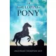 Angharad Thompson Rees - The Galloping Pony (e-könyv)