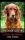 Larry Slawson - The Irish Setter (e-könyv)