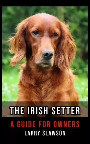 Larry Slawson - The Irish Setter (e-könyv)
