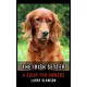 Larry Slawson - The Irish Setter (e-könyv)