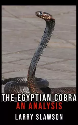 Larry Slawson - The Egyptian Cobra (e-könyv)