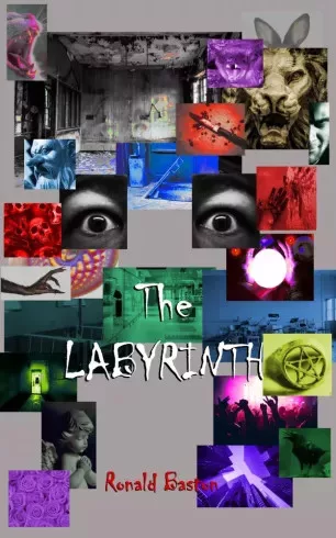 Ronald Baston - The Labyrinth (e-könyv)