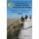 Stella Stella - A Personal Journey: 26 Days Traveling The Camino De Santiago (e-könyv)