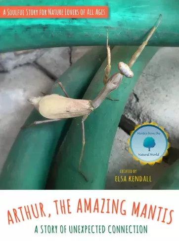 Elsa Kendall - Arthur, The Amazing Mantis (e-könyv)