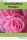 Harshita Joshi - Growing Rose Flowers (e-könyv)