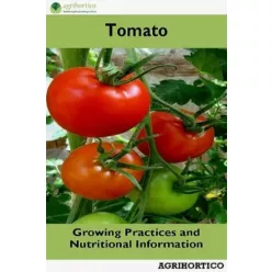 Tomato (e-könyv)