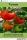 Tomato (e-könyv)