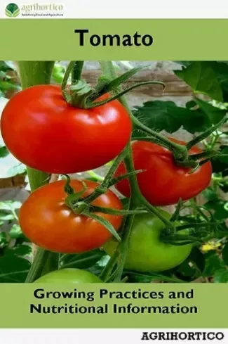 Tomato (e-könyv)