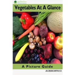 Vegetables At A Glance (e-könyv)