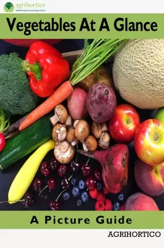 Vegetables At A Glance (e-könyv)